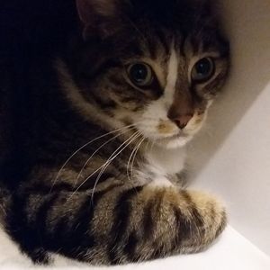 Meet your Posher, Jenna